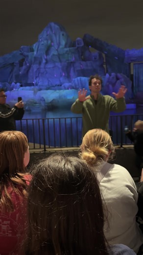 Exploring the Disney College Program Experience