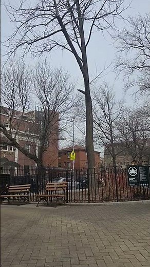 Elmhurst New York City