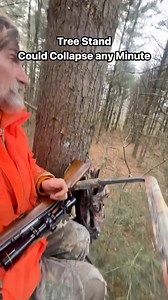 Used a Hunters old tree stand “could collapse any minute! I climbed it anyway. #treestand #treesandsafety #publicland #hunting | Bill Michael