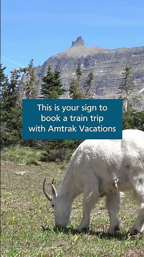 This Is Your Sign To Book A Train Trip With Amtrak Vacations