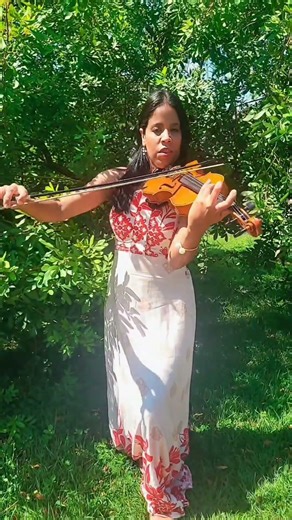 Conquest of Paradise by Vangelis #violin #shorts #violinist