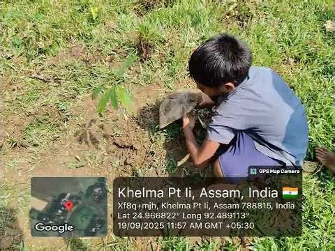 বৃক্ষ রোপন কার্যসূচি অনুযায়ী প্রথমেই করা উচিৎ 