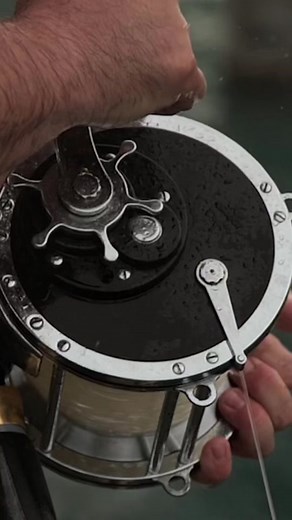 Exploring Land-Based Shark Fishing in South Beach