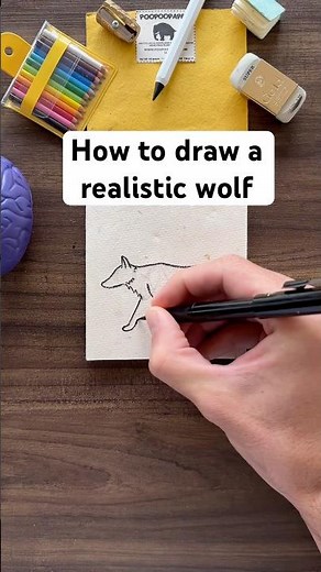 Secret to drawing realistic animals, is build from simple shapes. #wolf #drawingtutorial