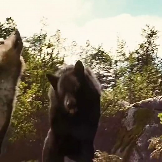 Exploring Sam Uley's Pack: Twilight Werewolf Edits