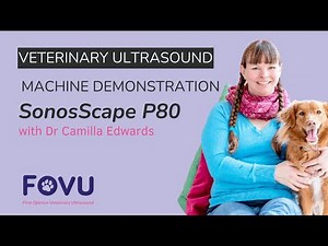 SonoScape P80 - Ultrasound Machine Demo by Dr Camilla Edwards