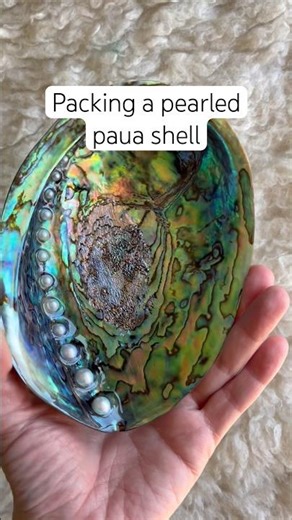Ocean Treasure: Packing a Pearled Pāua 🐚🌊