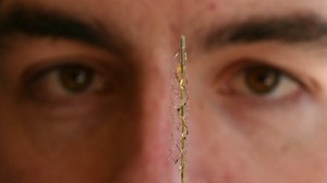 Surgical stentrode could revolutionise thought control tech