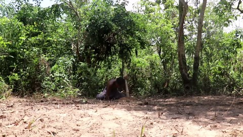 Building a Grass Roof House by Hand