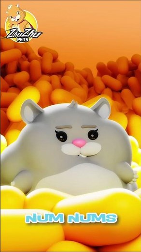ZhuZhu Pets - Num Num Nom Nom!