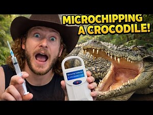 Catching the RAREST Crocodiles on Earth!