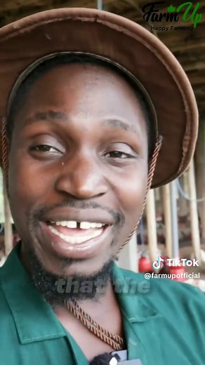 LAYERS Breeders pt 2 #farmup #farmupacademy #drdaniel