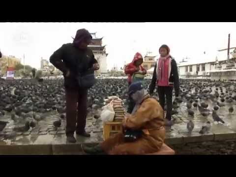 Expedición al país natal - Mongolia | Reportajes y documentales