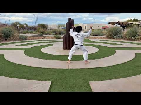 ITF Pattern 7 | Toi-Gye Tul