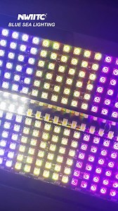 Waterproof 400W LED Strobe Light #strobelights #StrobeLighting #strobe #strobelight #StrobeLighting #ledstrobelights #ledstrobelight #movinghead #movingheadstrobe #movingheadlight #movingheadlighting #eventlighting #eventlights #eventlight #djlighting #djlights #djlight #djlightshow | Blue Sea Lighting