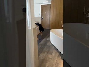 Catalonia playa maroma privileged romance room