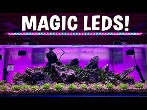 The ULTIMATE Aquarium LED UPGRADE!
