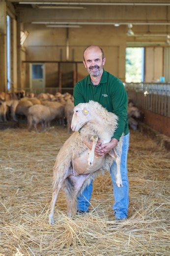 Animal welfare is deeply valued and treasured at Il Borro. Our flocks of sheep graze peacefully in the fields of the Estate, while our Paolo cares for them every day. A sustainable vision that brings us together every day. www.ilborro.it . Il benessere animale è profondamente apprezzato e custodito a Il Borro. I nostri greggi di pecore pascolano serenamente nei campi della Tenuta, mentre il nostro Paolo se ne prende cura ogni giorno. Una visione sostenibile che ci unisce quotidianamente. www.ilb