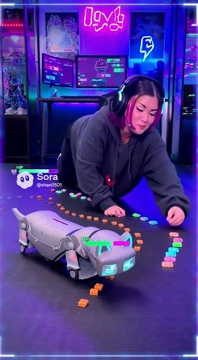 Aussie Beach Battle! Surfer vs. Koala in the Snack Time Scramble 🌊🐨