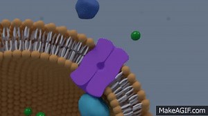 abc transporter animation on Make a GIF