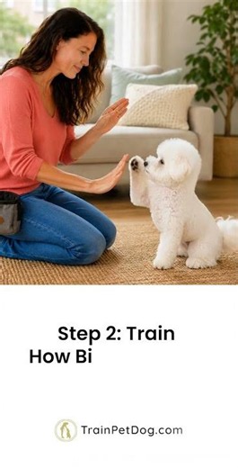 Our Bichon-specific system is simple.