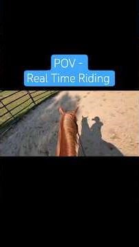 POV: Real Time Riding #alternativehorsemanship