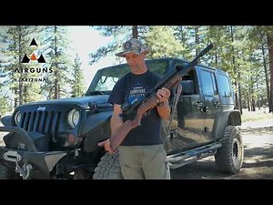 Tree Squirrel Hunting with PCP Airgun | Daystate Huntsman Revere Precision Hunt!
