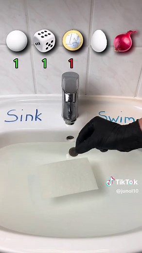 Water Challenge: What Items Will Sink or Swim?