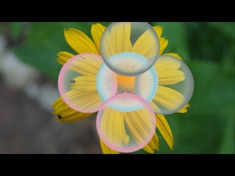 Typographic design tutorial in Canva