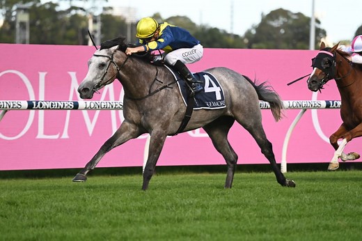 Coolmore Classic 2027 Field, Tips, Betting Odds, Results