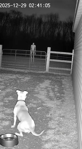 Dog Sees Creepy Footage Before Camera Does