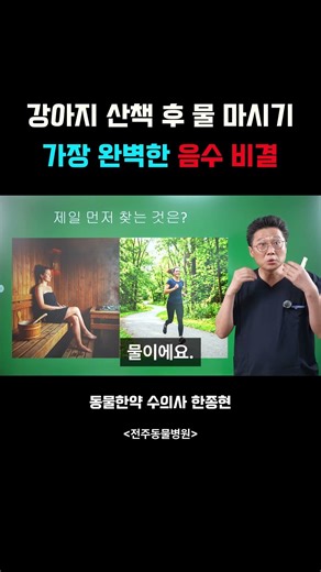 우리 강아지 물을 안먹어서 고민되시나요~ 억지로 먹이지 마세요. 이유는요?? #전주동물병원 #강아지 #수의사 #강아지산책 #강아지유튜브 #반려견