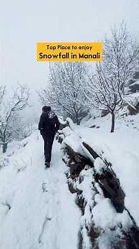 Top 5 Manali tourist Places to Enjoy Snowfall in Manali ❄️ | Manali Snow Guide #shorts