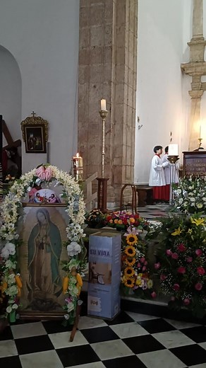 12K views · 348 reactions | Incia la misa de la baja en el Santuario de Nuestra Señora de Guadalupe, San Cristóbal | San Cristobal, "Custodios Guadalupanos" | Facebook