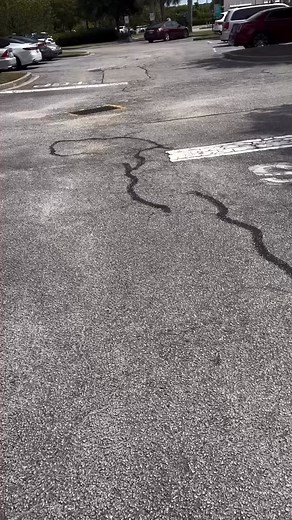 Amen! Keep praising Him in the trials and tribulations. 🙏🏻🙌🏻💕❤️ | Amanda Boyd Hutson