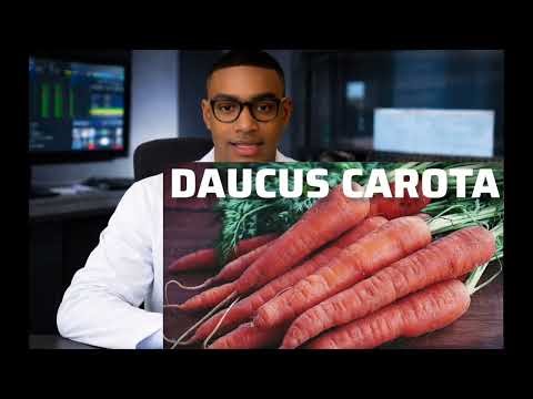 Scientific Names of Common Plants | SHS & WAEC Biology (Detailed Lesson)