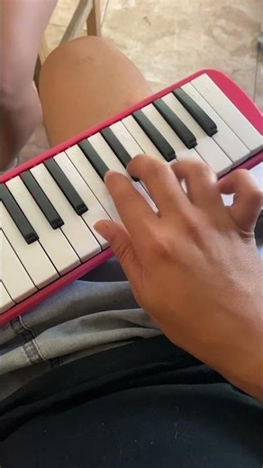 Intro - bluey #bluey #intro #tv #argentina #music #melodicapulse #melodicacover