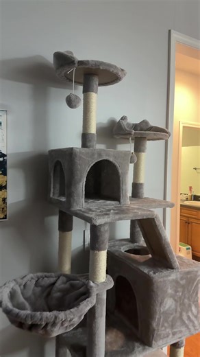 My cat practically live in their other cat tree , so I grabbed them an even bigger one! ##cattree##cattower##cats##cattok##socute
