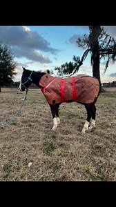 2.1K views · 73 reactions | My grandma Edwards always told me, to be a problem solver and not the problem ￼. Dragons Slick Willy will be warm tonight ￼ just a little duct tape ￼ | Fancy Fast Horses | Facebook