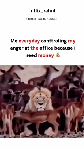 Office mein gussa control karne wale hi asli warriors hote hain 💼 #officelife #officework