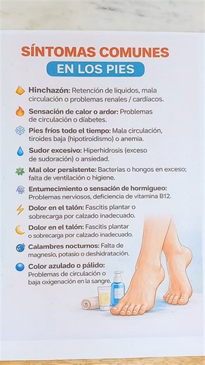 👣 Síntomas comunes en los pies y lo que significan realmente Los pies son una de las zonas del cuerpo que más carga soportan a diario. Sin embargo, muchas veces ignoramos señales importantes que pueden indicar problemas de salud, mala circulación, deficiencias nutricionales o incluso enfermedades sistémicas. Reconocer estos síntomas a tiempo puede ayudarte a prevenir complicaciones mayores y mejorar tu bienestar general. A continuación, te explico cada síntoma y su posible causa de forma clara