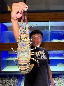 34 reactions · 7 comments | Live Seafood at Oyster Bay Seafood Restaurant in Mandaue City, Cebu | Stanly Jordan | Facebook