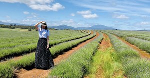 【愛麗絲悠遊世界專欄】愛在世界的盡頭 澳洲塔斯馬尼亞島感受心跳 | Bella.tw儂儂
