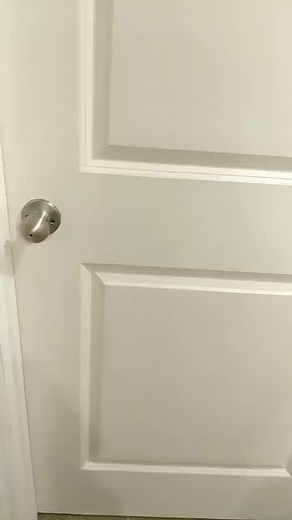 Raising BabyYoda on TikTok