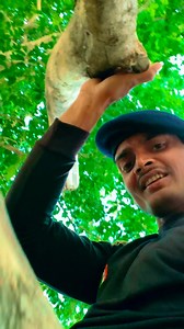 6.6K reactions · 68 shares | ♥️殺#instagram #gym #reels #vrail #reelsinstagram #instalike #india #gymmotivation #desi #gymrat ♥️殺 | Rahul Kumar | Facebook