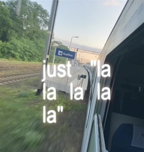 Discover the Joy of TLK Trains This Summer