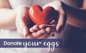 Egg Donation - Using Donor Eggs