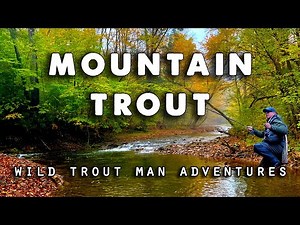 Remote Adventure Fly Fishing North Central PA
