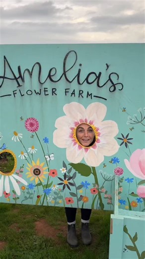 Continuing my farm tour series for YouTube, I visited Amelias flower farm where I discovered how her pick your own flower farm worked. She told me all about how they planted 5,000 (!) dahlias this season, showed me the barn (complete with balcony views over the flower fields) and how they plan to branch out into plug plants and peonies. Watch the full interview now on YouTube (link in my story and bio) #flowerfarm #pickyourownflowers #flowerfarming #growingflowers #britishflowers | Bloom & Gray