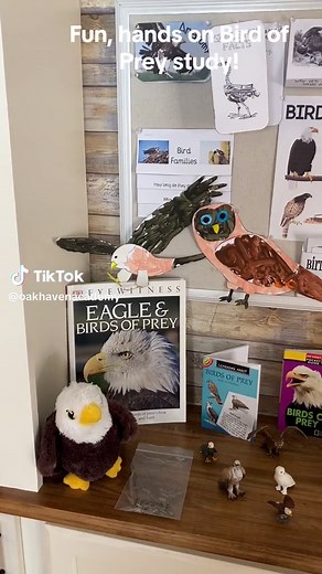 ZooBooks are a fantastic way to learn about many animals! Owl pellets were so much fun to bring thus study to life. Want to know where something came from? Just ask! #homeschool #homeschooling #homeschoollife